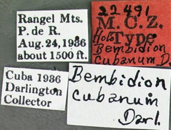 Media type: image;   Entomology 22491 Aspect: labels